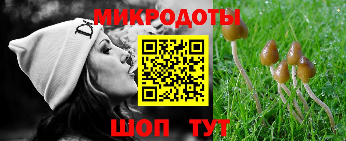 Галлюциногенные грибы Psilocybe  Вход с VPN  Строитель 